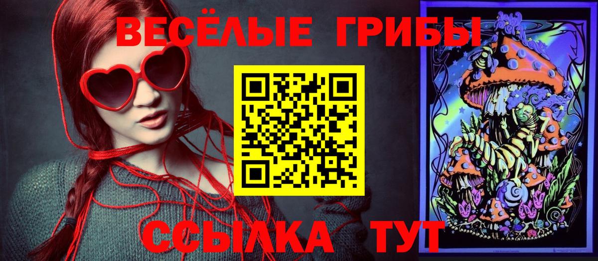 Сланцы  Галлюциногенные грибы мухоморы  Галлюциногенные грибы GOLDEN TEACHER  Вход с VPN 